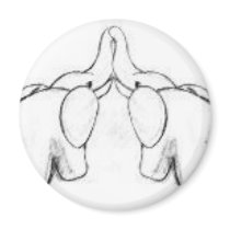 Elephants In love Fridge Magnets