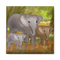 Elephants in the Magnets