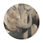 Elephants Elephants