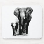 Elephants Mouse Pads