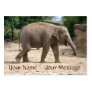 Elephants Never Forget Your Name And Message Card Business Card Templates