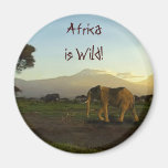 Elephants of AFRICA Series Fridge Magnet