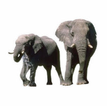 Elephants Photo photo sculptures by claricardoza Elephants Photo photo sculptures