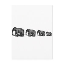 Elephants Post Card