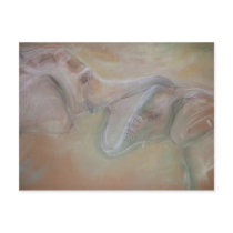 Elephants postcard