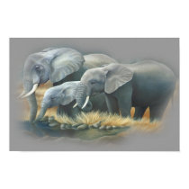 Elephants Poster posters