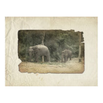 Elephants posters