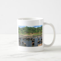 Elephants Sri Lanka Mugs
