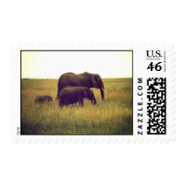 elephants stamp 2