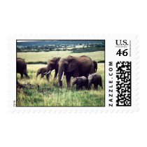 elephants stamp