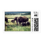 elephants stamp