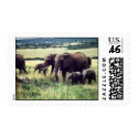 elephants stamp by lizzymmmcf elephants stamp