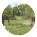 Elephants Stickers by Country1969 Elephants Stickers
