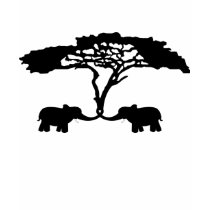 Elephants t-shirts