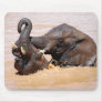 Elephants water world mouse pad