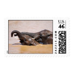 Elephants water world postage stamps