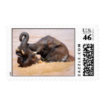 Elephants water world stamps