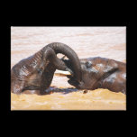 Elephants water world canvas prints