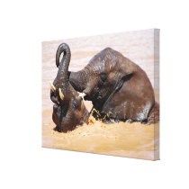 Elephants water world stretched canvas print
