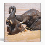 Elephants water world vinyl binders