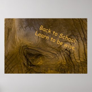Elephat Back to School Poster print