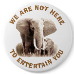 Elephats Deserve Respect Pins
