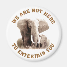 Elephats Deserve Respect Fridge Magnets