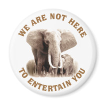Elephats Deserve Respect Fridge Magnets