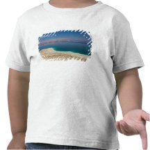 Elevated view of the Dead Sea Tees