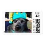Elf Dog postage