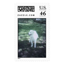 Eli at attention postage by twinapollo Eli at attention postage