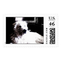Eli Sketch postage