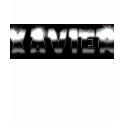 Eli Xavier T-Shirt by elixaviermusic Eli Xavier T-Shirt