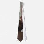 Elia ties