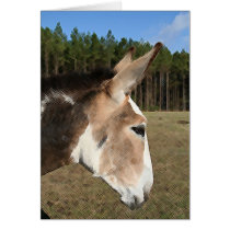 Elijah Card by fewacresranch Elijah Card