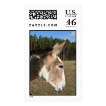 Elijah Postage