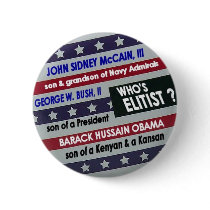 Elitist Stars & Stripes Button