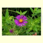Elizabeth Browning Greeting Card cards