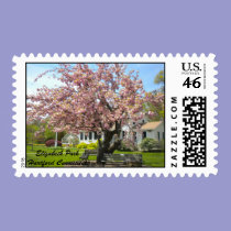 Elizabeth Park, Hartford, CT Postage stamps