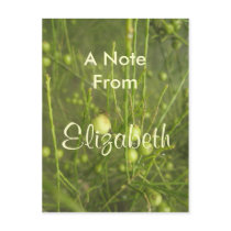 Elizabeth postcards by lollypopgirrrl Elizabeth postcards