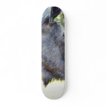Elk Animal skateboards