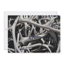 Elk antlers, Central Square, Jackson, Wyoming, U.S Personalized Invitations