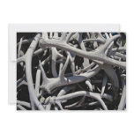 Elk antlers, Central Square, Jackson, Wyoming, U.S Personalized Invitations