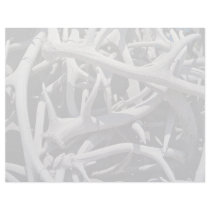 Elk antlers, Central Square, Jackson, Wyoming, U.S Letterhead