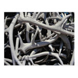 Elk antlers, Central Square, Jackson, Wyoming, U.S Post Card