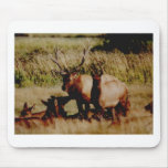 elk anyone? mousepads