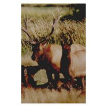 elk anyone? stationery by akeyms elk anyone? stationery