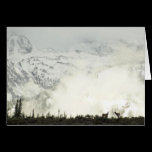 Elk at Grand Teton Card