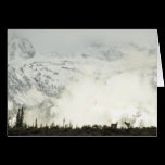 Elk at Grand Teton Card