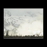 Elk at Grand Teton Postcard
